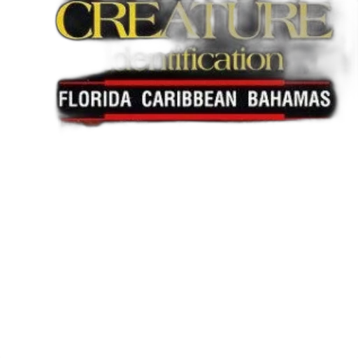 creature, identification, book, cover transparent PNG cut-out