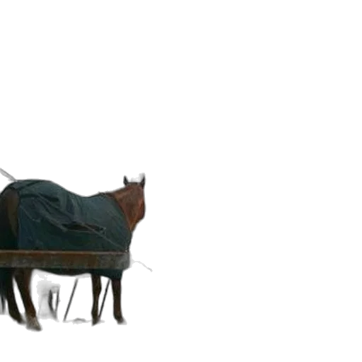 furniture, animal, creature, car transparent PNG cut-out