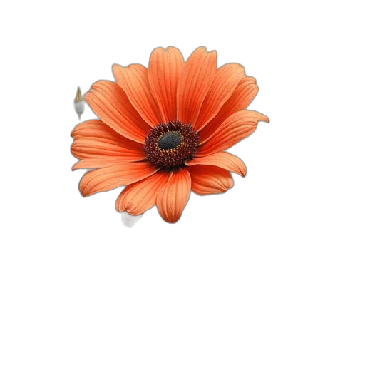 flower, jewelry, crown, staff transparent PNG cut-out