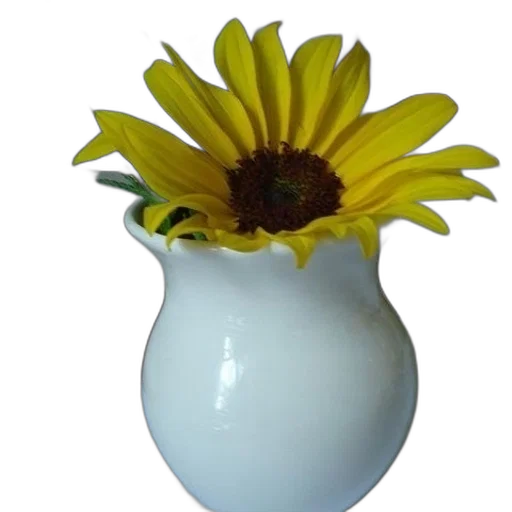 flower, crown, bottle, jewelry transparent PNG cut-out