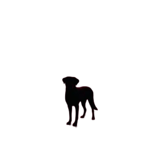 animal, creature, staff, hair transparent PNG cut-out