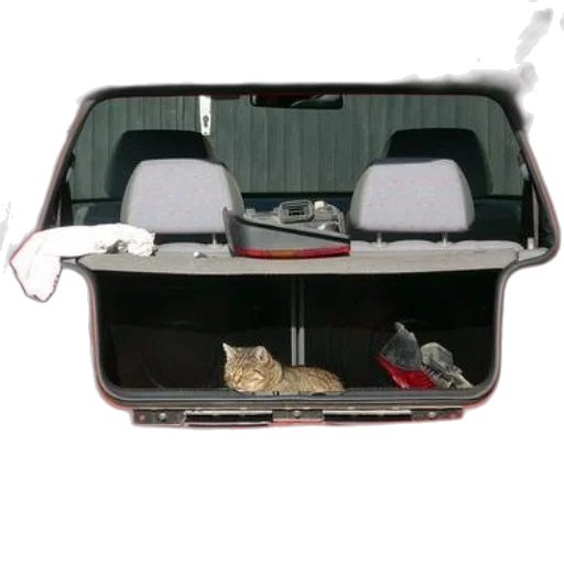 shoes, car, furniture, cat transparent PNG cut-out