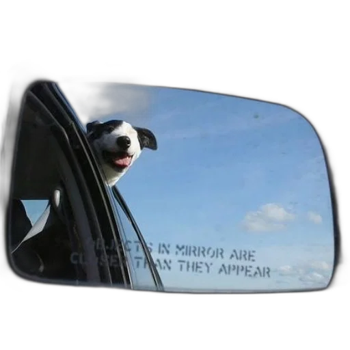 animal, car, face, creature transparent PNG cut-out