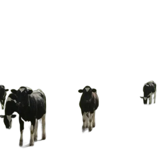 animal, jewelry, furniture, 3d render transparent PNG cut-out