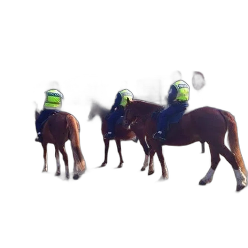 animal, staff, hat, mask transparent PNG cut-out