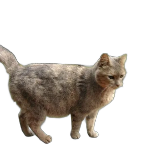 animal, creature, staff, weapon transparent PNG cut-out