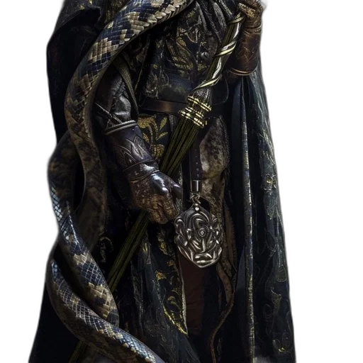 jacket, dress, dragon, sword transparent PNG cut-out