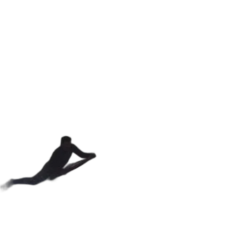 shoes, animal, hair, hat transparent PNG cut-out