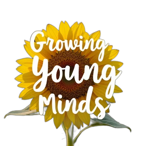 crown, second, image, close-up transparent PNG cut-out