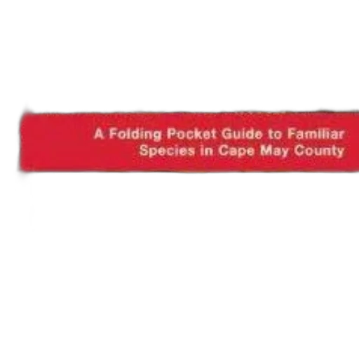 folding, pocket, guide, familiar transparent PNG cut-out