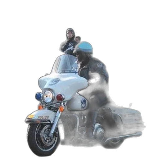 animal, jacket, concept art, photorealistic transparent PNG cut-out
