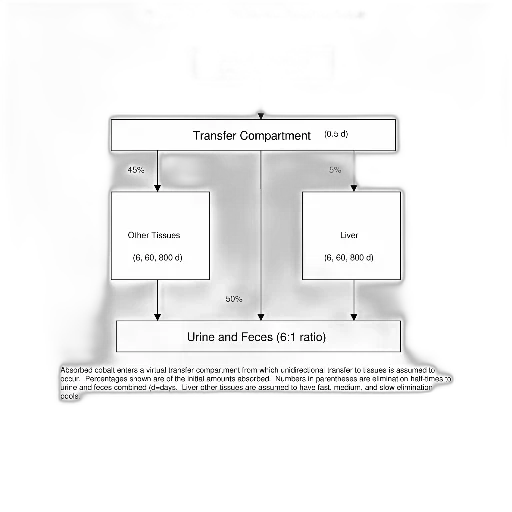 figure, illustrates, icrp, biokinetics transparent PNG cut-out