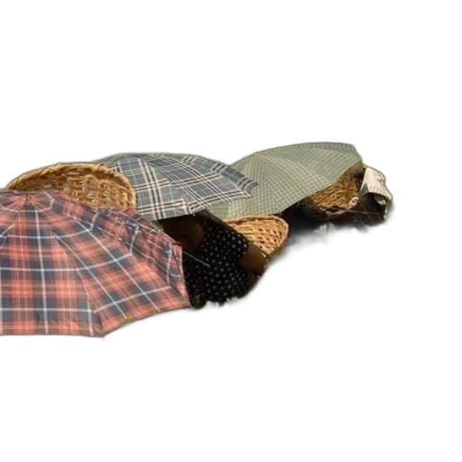 hat, jacket, umbrella, shoes transparent PNG cut-out