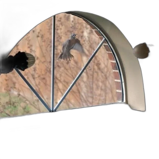 umbrella, hat, weapon, animal transparent PNG cut-out