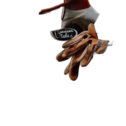 hat, staff, weapon, shoes transparent PNG cut-out