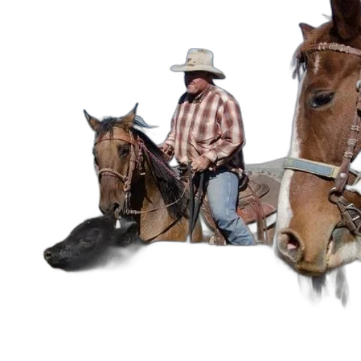 animal, hat, staff, photorealistic transparent PNG cut-out