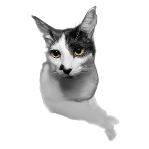 animal, staff, face, creature transparent PNG cut-out