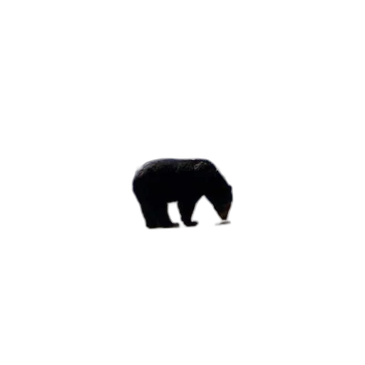 animal, creature, hat, weapon transparent PNG cut-out