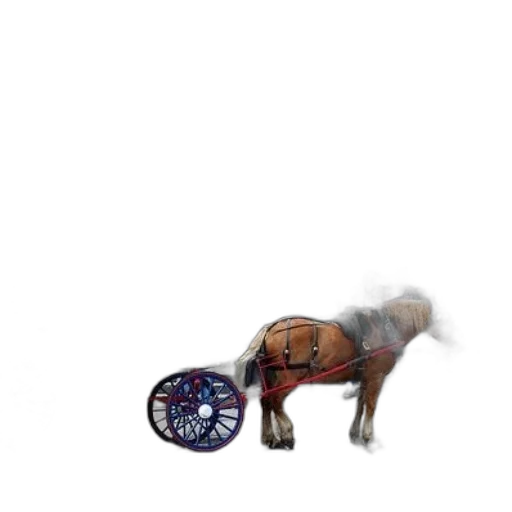 animal, car, robot, weapon transparent PNG cut-out