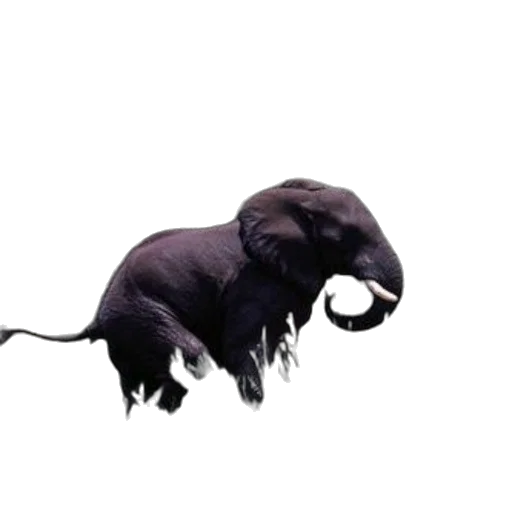 animal, creature, dragon, staff transparent PNG cut-out