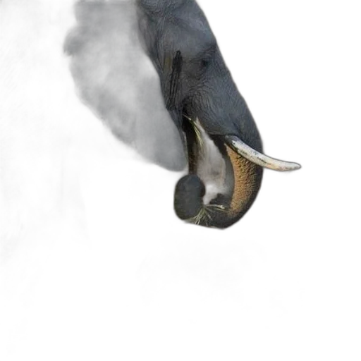 shoes, mask, dragon, animal transparent PNG cut-out