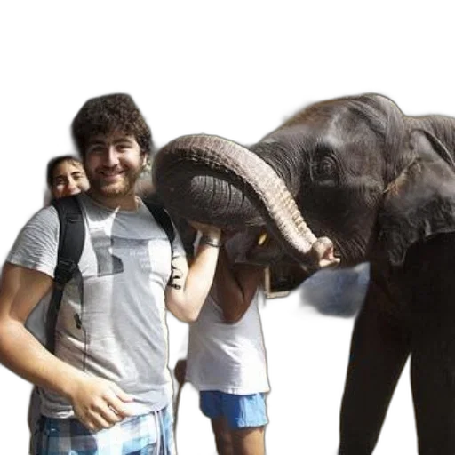 animal, creature, weapon, staff transparent PNG cut-out