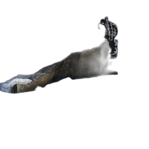 animal, creature, staff, shoes transparent PNG cut-out