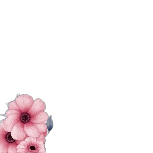 flower, dress, crown, jewelry transparent PNG cut-out