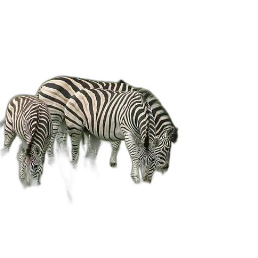 animal, creature, jewelry, 3d render transparent PNG cut-out