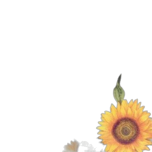 flower, dress, crown, food transparent PNG cut-out