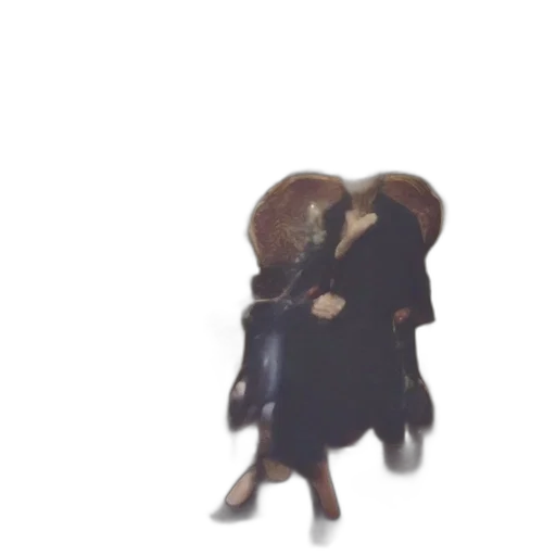 jacket, umbrella, animal, creature transparent PNG cut-out