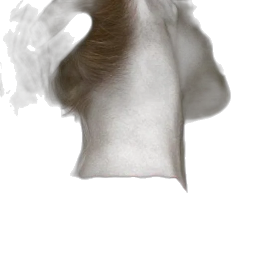 hair, face, mask, crown transparent PNG cut-out