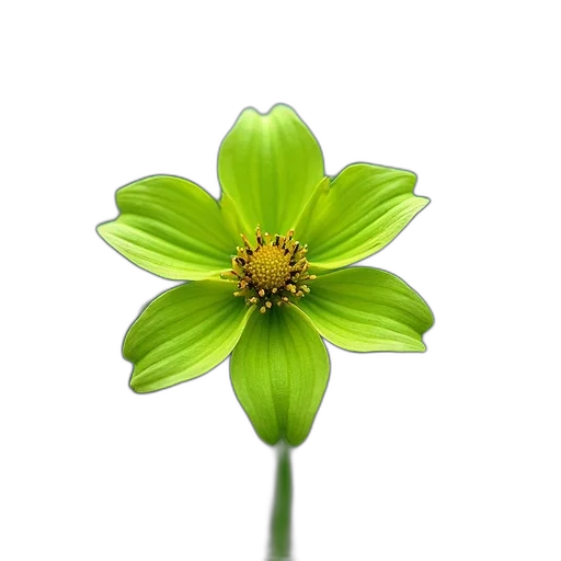 flower, crown, staff, jewelry transparent PNG cut-out