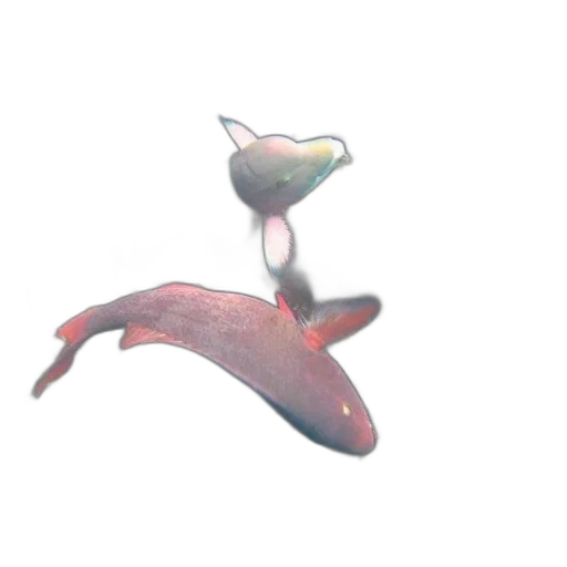 creature, animal, staff, jewelry transparent PNG cut-out