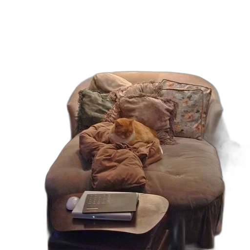 furniture, jacket, animal, creature transparent PNG cut-out