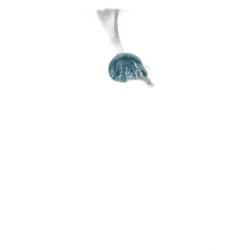 umbrella, staff, dress, hat transparent PNG cut-out