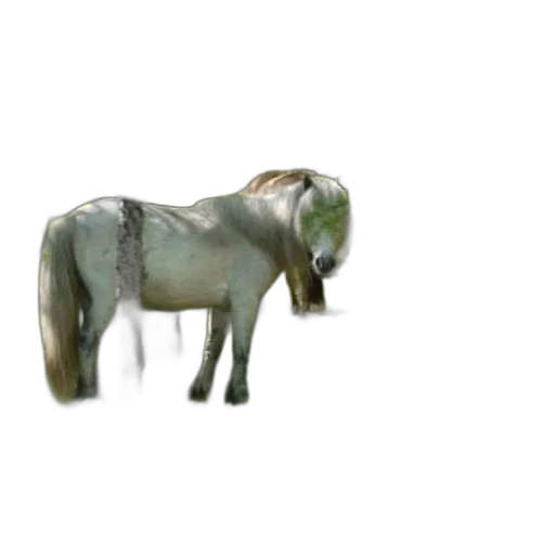 animal, creature, dragon, staff transparent PNG cut-out