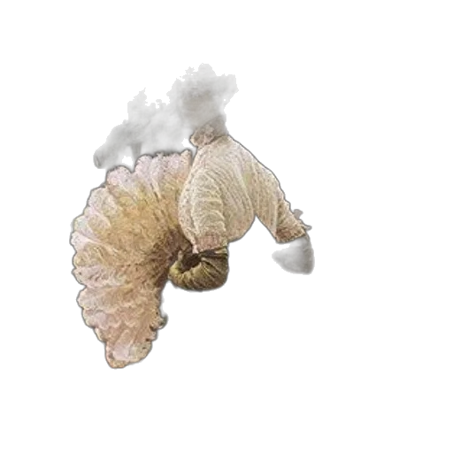 hair, crown, dragon, flower transparent PNG cut-out