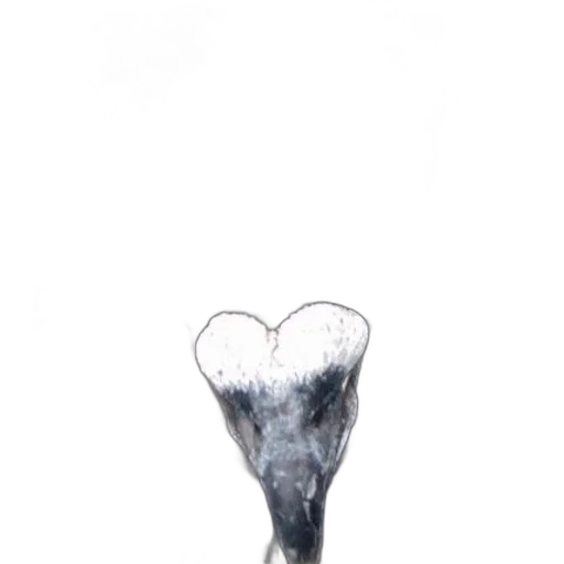 mask, jewelry, staff, hair transparent PNG cut-out