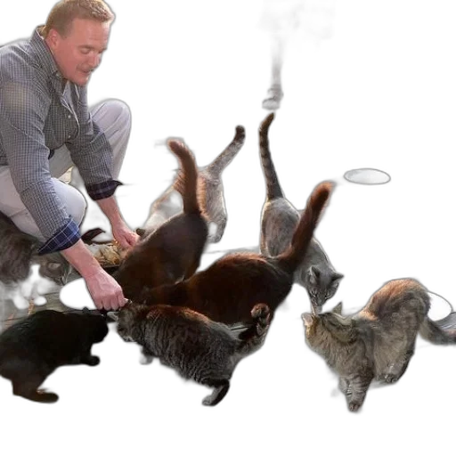 staff, animal, concept art, photorealistic transparent PNG cut-out