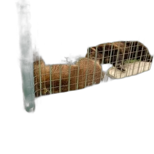 weapon, animal, hair, furniture transparent PNG cut-out