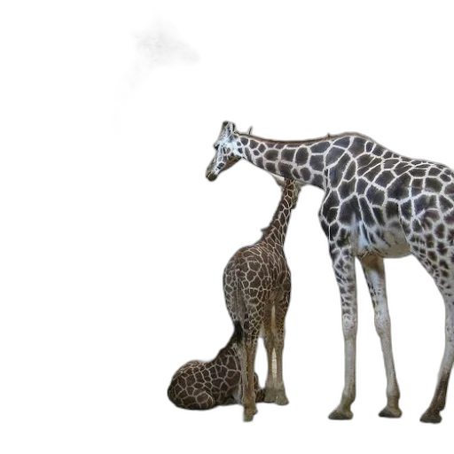 animal, creature, concept art, 3d render transparent PNG cut-out
