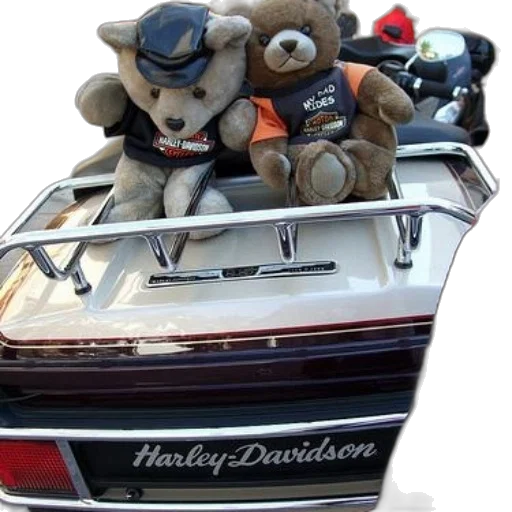 two, teddy, bears, wearing transparent PNG cut-out