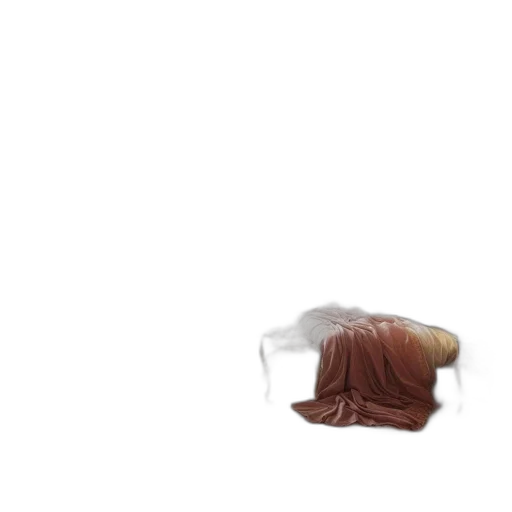 hair, furniture, shoes, hat transparent PNG cut-out