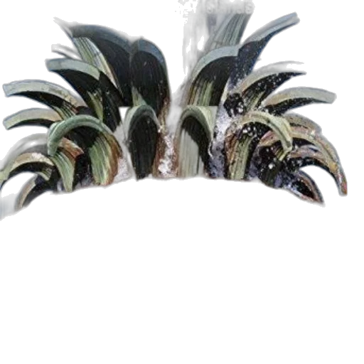 crown, hat, jacket, mask transparent PNG cut-out