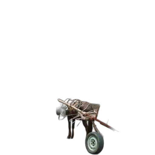car, furniture, weapon, animal transparent PNG cut-out