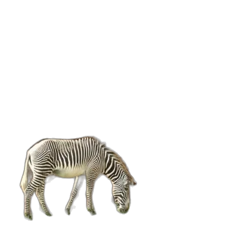 animal, creature, furniture, robot transparent PNG cut-out