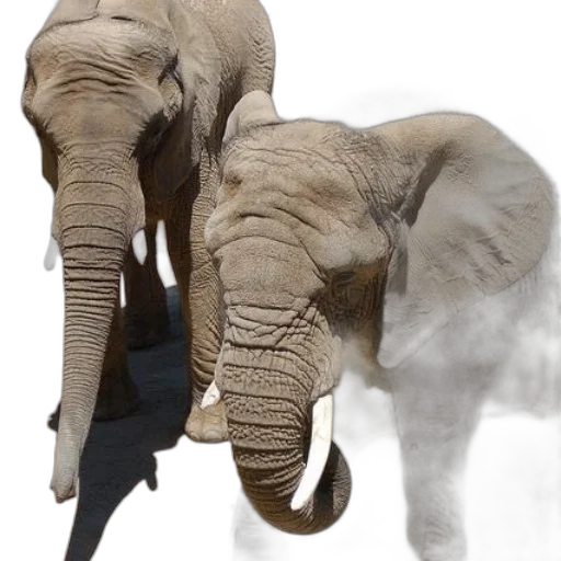 animal, creature, staff, weapon transparent PNG cut-out