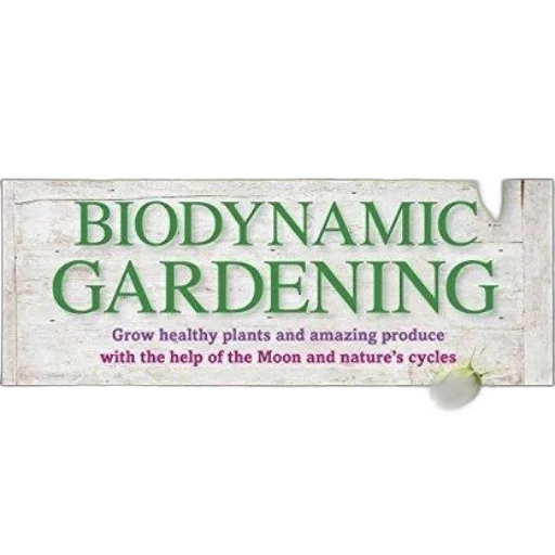 biodynamic, gardening, grow, healthy transparent PNG cut-out