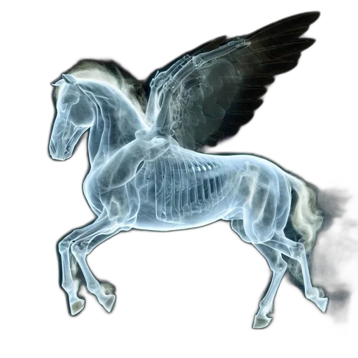 dragon, animal, creature, staff transparent PNG cut-out